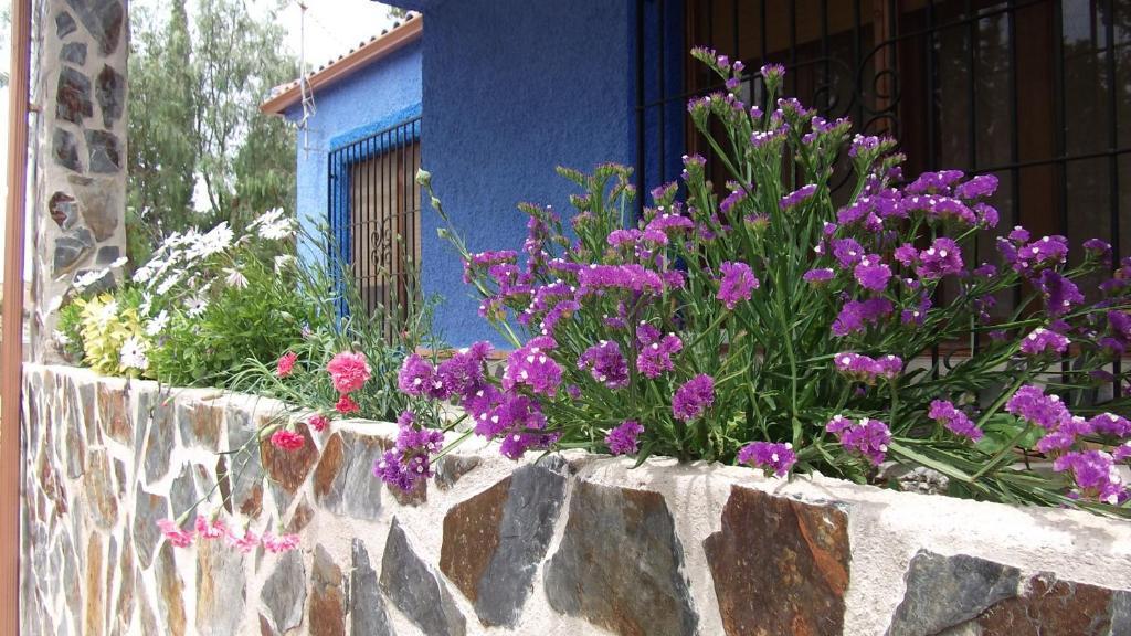 Casa Rural Mi Campo Fenazar Rom bilde